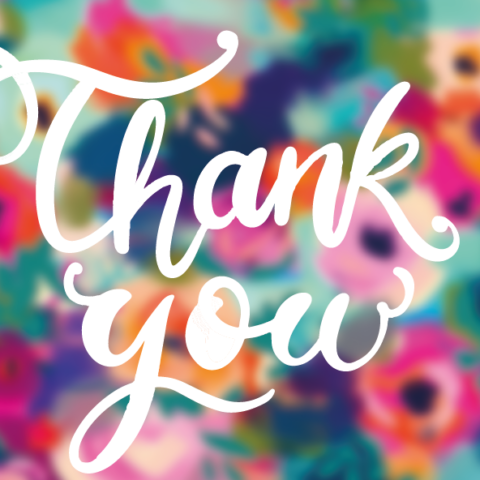 Luxury Thank You Note Cards Set – 100 Premium Cards